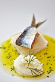 Herring with mashed potatoes and dill sauce