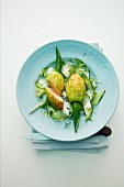Stuffed courgette flowers on cucumber strips with salmon