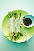 Rice paper rolls with lettuces, cucumber and soy sauce