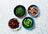 Various Japanese side dishes