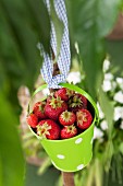 Fresh strawberries in a pastel-green bucket