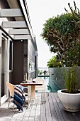 Striped blanket on chair at table opposite white planter of ornamental grasses on wooden terrace