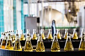 Bottles on a conveyor belt in a bottling plant