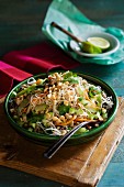 Chicken salad with bean sprouts and nuts (Asia)