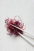 Red seaweed with chopsticks