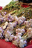 Bundles of garlic on a market stand