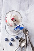 An ice cream sundae with vanilla ice cream, fruit jelly and blueberries