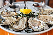 Raw oysters with seaweed and lemon