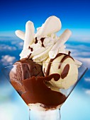 Dame Blanche (ice cream sundae with vanilla ice cream, chocolate ice cream, chocolate sauce and cream)