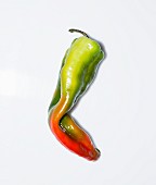 A long red and green pepper
