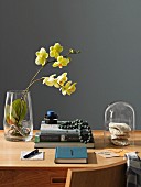 Orchidee in Glasvase, Bücher und Glashaube auf Holztisch vor dunkelgrauer Wand