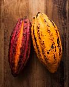 Two whole cocoa pods
