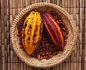 Kakaoschoten auf Kakaobohnen im Strohkorb