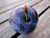 A plum (close-up)