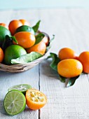 Kumquats und Limetten