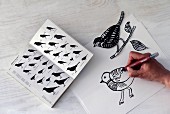 Drawing birds using book of silhouettes as guideline