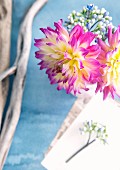 Posy of pink and yellow dahlias and weathered branches on pale blue surface