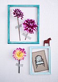 Two light blue picture frames containing dahlia flowers and grey postcard stuck to wall