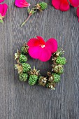 Small wreath of unripe blackberries and bright pink geranium flower on wooden surface