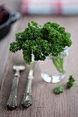 A bunch of parsley in a glass