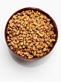 Fenugreek seeds