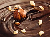 Hazelnuts in chocolate cream (close-up)