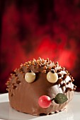A chocolate hedgehog cake (close-up)