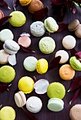 Assortment of macaroons