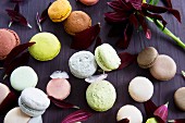 Assortment of macaroons