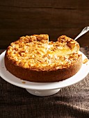 Cheese cake with slivered almonds, sliced