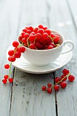 A cup of redcurrants