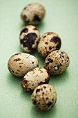 Several quails' eggs