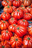 Costoluto Genovese tomatoes on a market stall