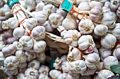 Garlic on a market stall