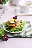 Pancakes with lettuce and fried quail's eggs
