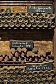Alte Flaschen im Weinkeller Cousino Macul, Santiago, Maipo Valley, Chile