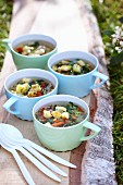 Light vegetable and herb soup with croutons