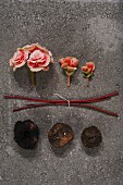 Rosa Begonien Blütenköpfe, Stengel und Wurzelknollen auf Steinplatte