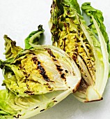 Grilled lettuces