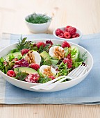 Mixed leaf salad with avocado, raspberries, goat's cheese, dill and pine nuts