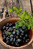 Blueberries in a bowl