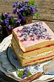 Sponge cake decorated with sugared violets