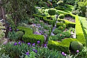 Formgeschnittene Buchshecken und violette Blumen in parkähnlichem Garten