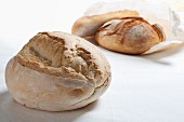 Two loaves of bread from Apulia