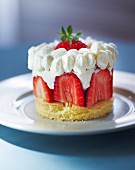 A sponge cakes with fresh strawberries and cream