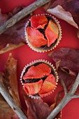 Chocolate cupcakes with autumnal decorations