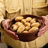 A man holding a basket of small Yukon Gold potatoes