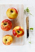 Elstar apples on a chopping board
