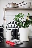Zimmerpflanze in weißem Übertopf und Isolierkannen in Schwarz und Weiß auf Küchenzeile