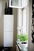 Black bottles on top of tall, white wall-mounted cabinet in corner of kitchen next to window